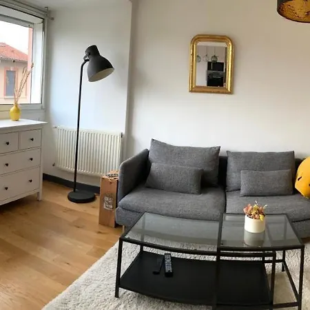 Rose Claire, Appart 2 Chambres, Parking Toulouse